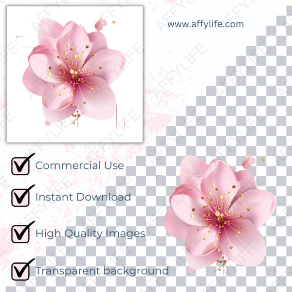 Illustration of a pink cherry blossom with gold accents on a transparent background. Abstract flowers clipart.