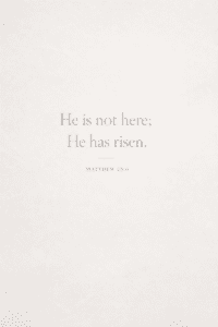 Text on a white background reading “He is not here; He has risen” Matthew 28:6, conveying a message of hope and spiritual significance.