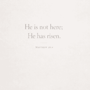 Text on a white background reading “He is not here; He has risen” Matthew 28:6, conveying a message of hope and spiritual significance.