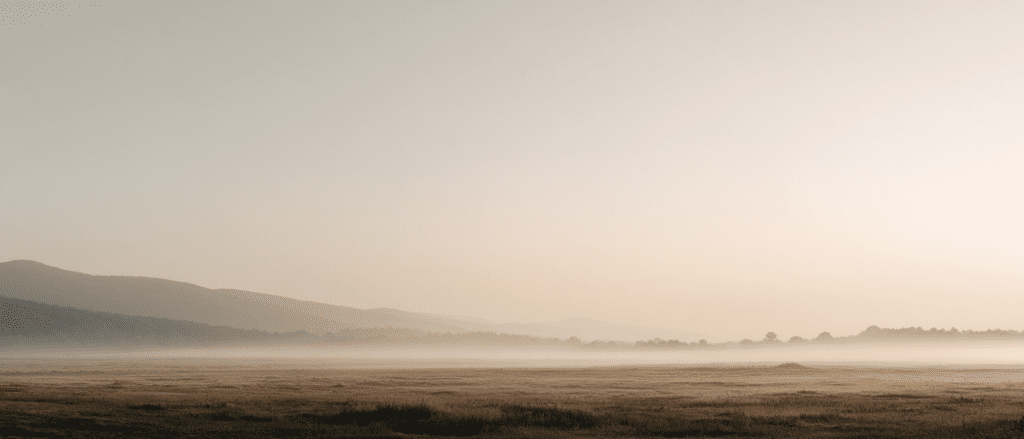 webbloko A wide minimal landscape designed as a closing image ba8f7870 c207 41ed b821 01f74f5e604c 2